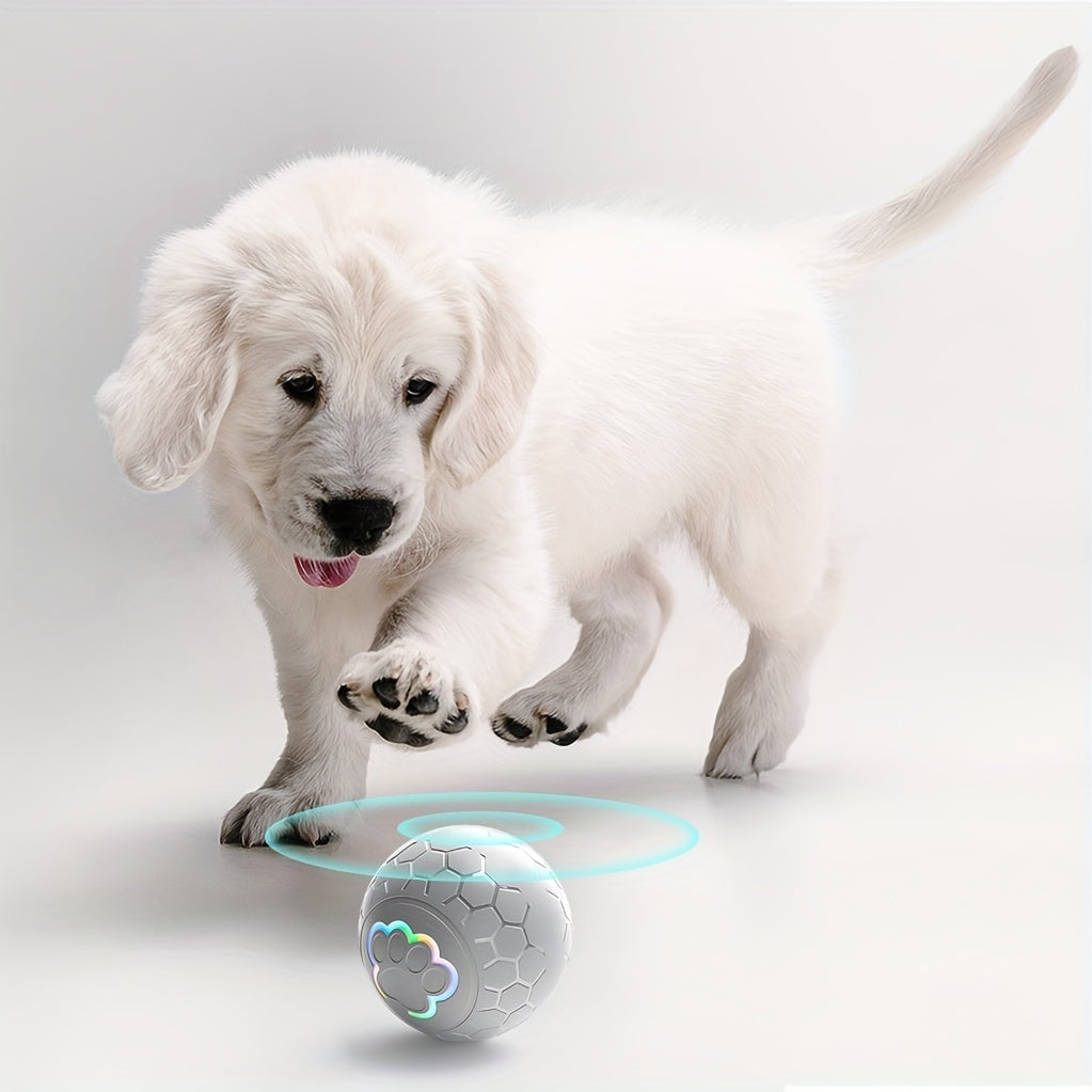 Interactive Ball Toy for Dogs and Puppies